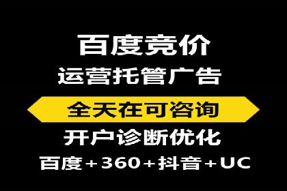 电商行业SEM运营的挑战与成功案例